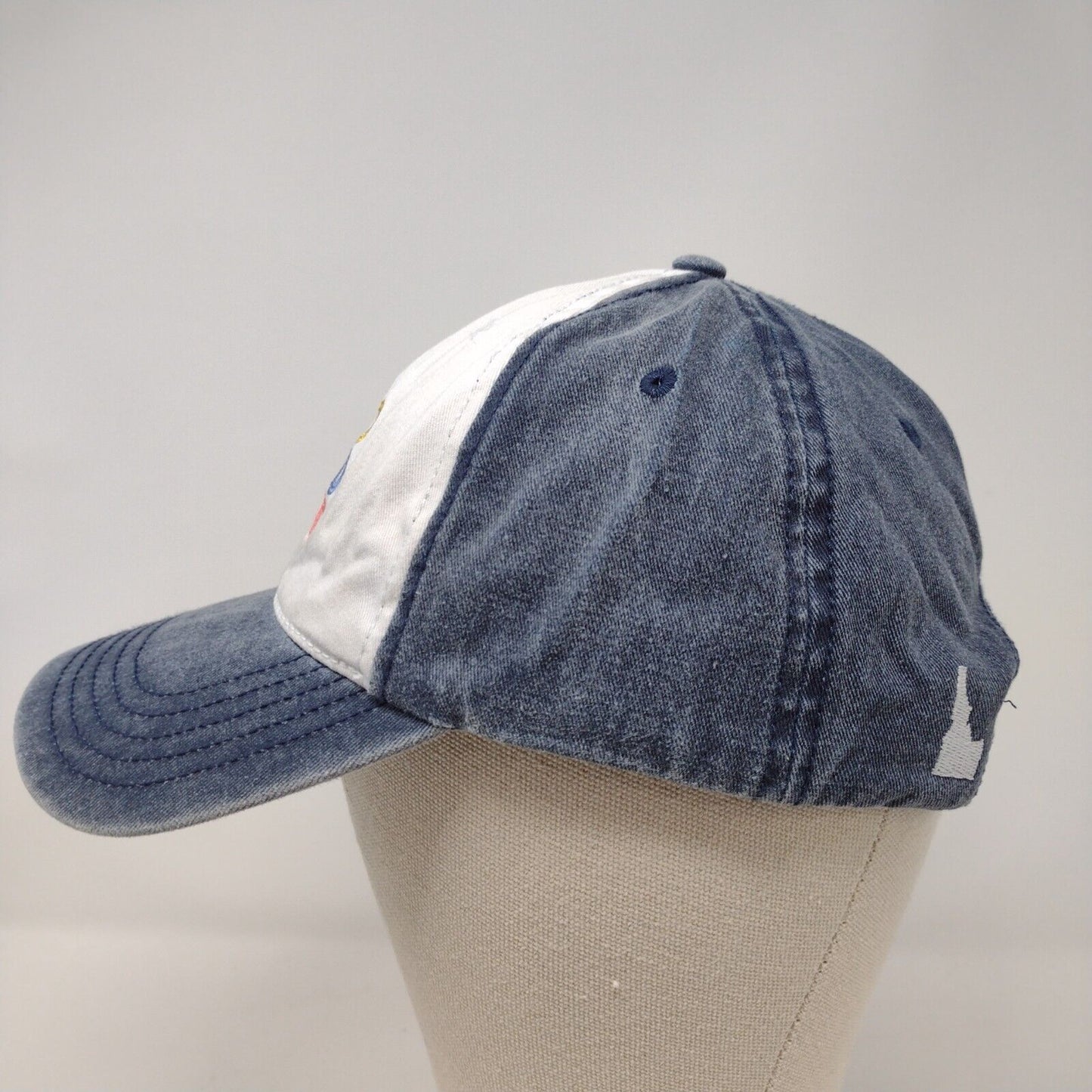Idaho Slideback Hat Multi OSFM Embroidered Colorblock Home Free