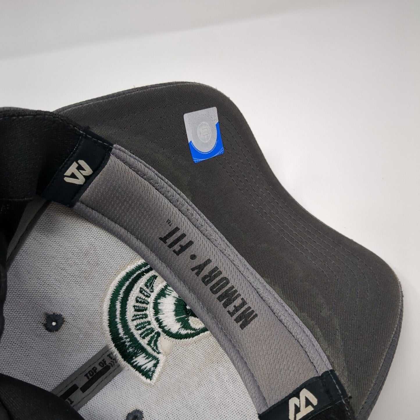 Spartans Fitted Hat Gray One Size Memory Fit Stretch Embroidered Logo