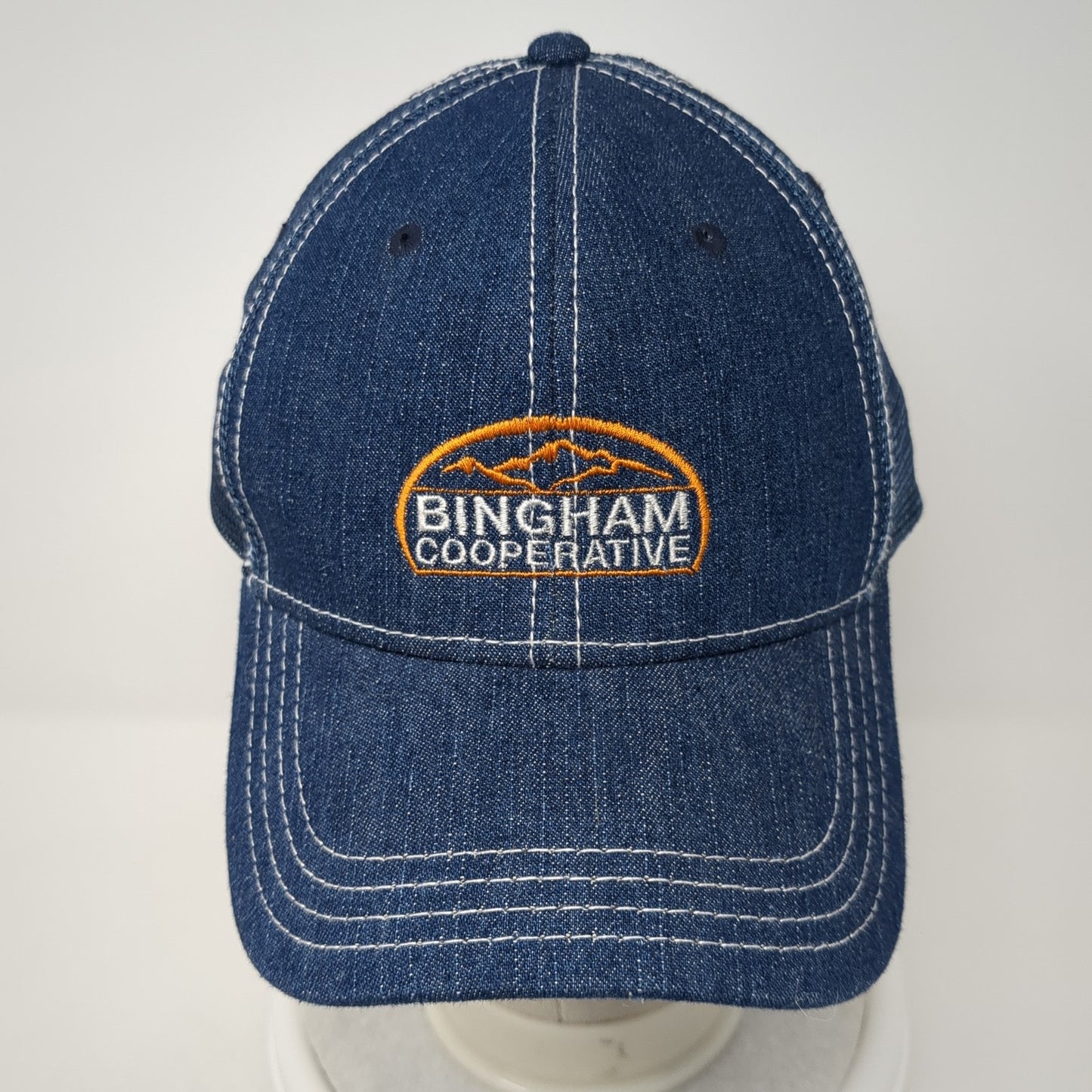 Bingham Cooperative Slideback Trucker Hat Blue OS Adjustable Embroidered Otto