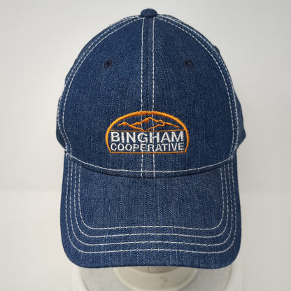 Bingham Cooperative Slideback Trucker Hat Blue OS Adjustable Embroidered Otto