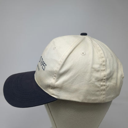 Vitronic Snapback Hat Beige One Size Stars and Stripes Newspaper Logo Blue Brim