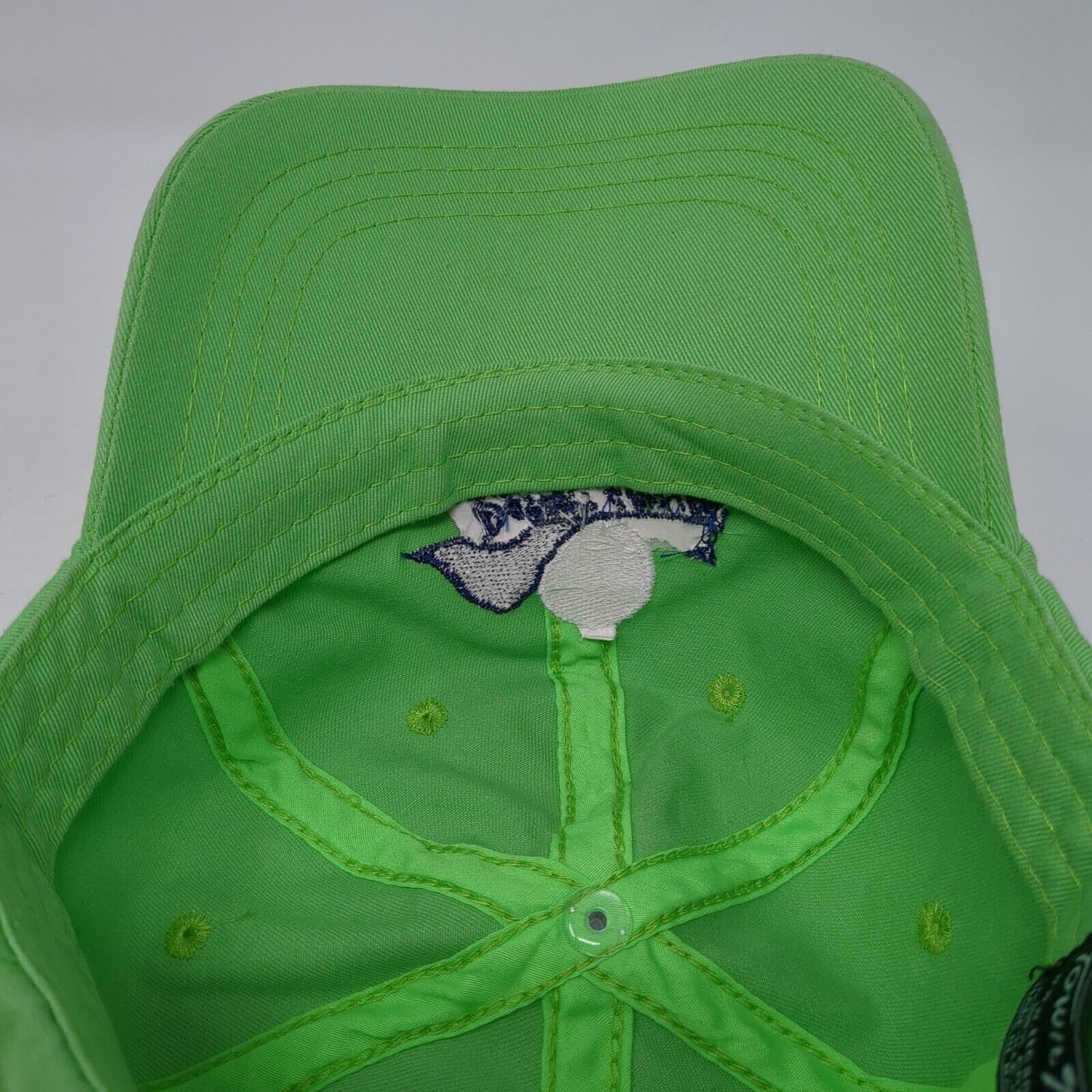 Desert Canyon Mountain Home Idaho Slideback Hat Green OS Adjustable Town Talk