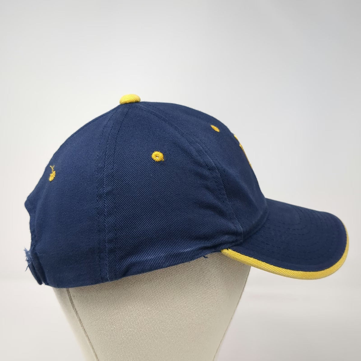 Notre Dame Fighting Irish Signatures NCAA Hat Blue One Size Strapback Piping