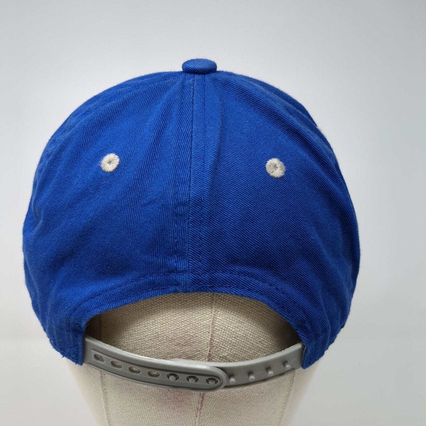 Idaho Steelheads Snapback Hat Blue OSFA Embroidered Logo Adjustable Cotton