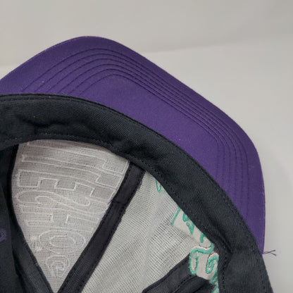 Hilleshoe Sandoz Seeds Snapback Hat Multicolor OSFA Adjustable Embroidered