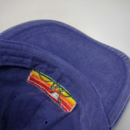 Adams Baseball Cap Blue One Size Leather Strap Embroidered Cyclist Rainbow Hat