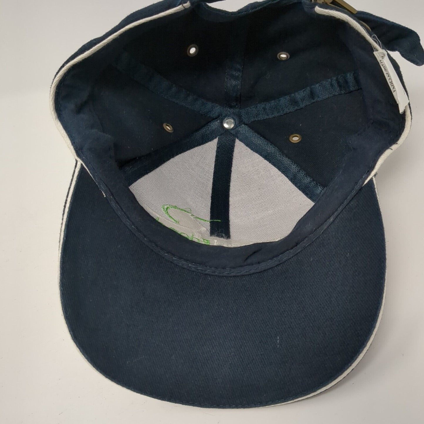 Learned Friends Professional Education Slideback Hat Blue OS Adjustable Cotton