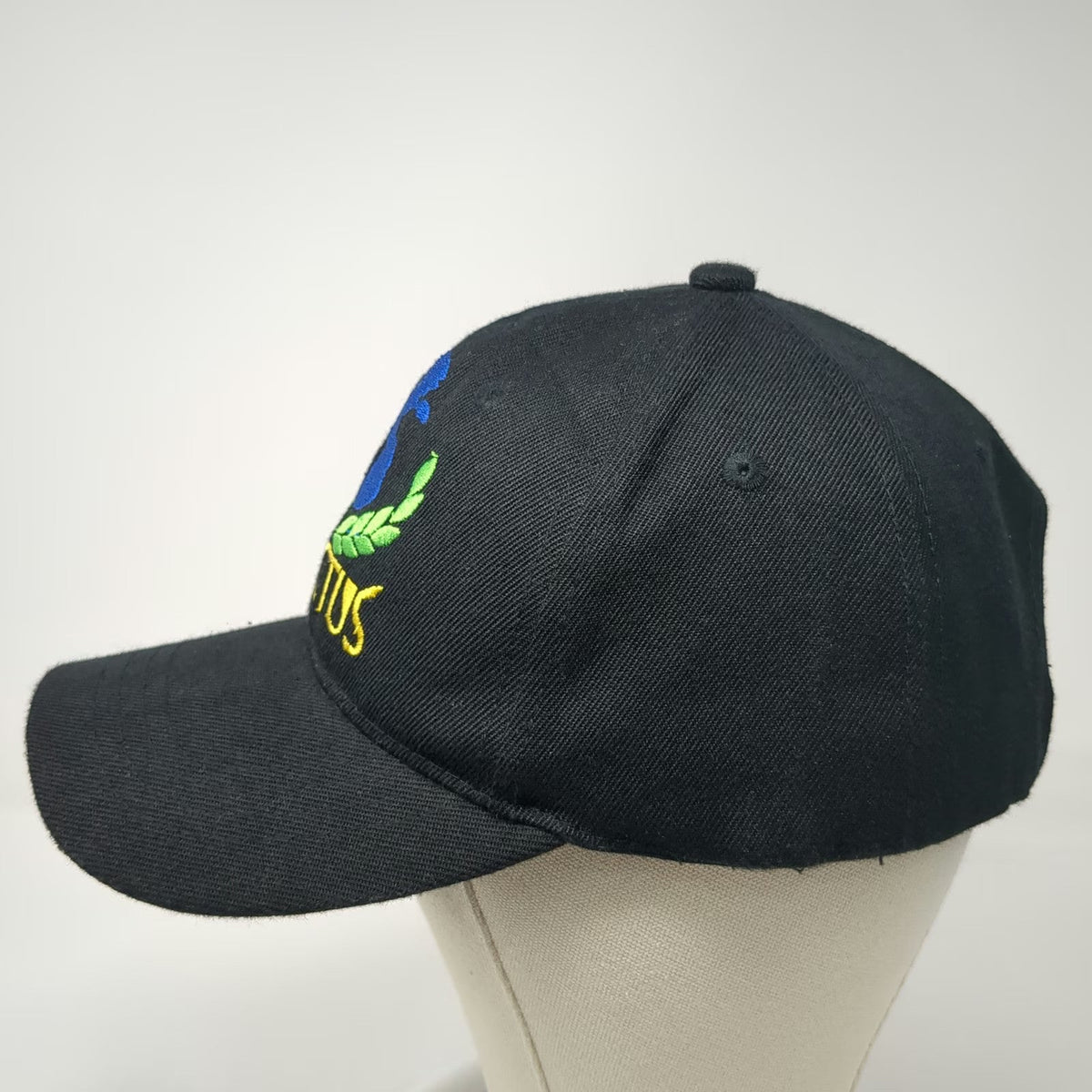 Remo Invictus Embroidered Globe Laurel Wreath Black Baseball Cap Hat One Size