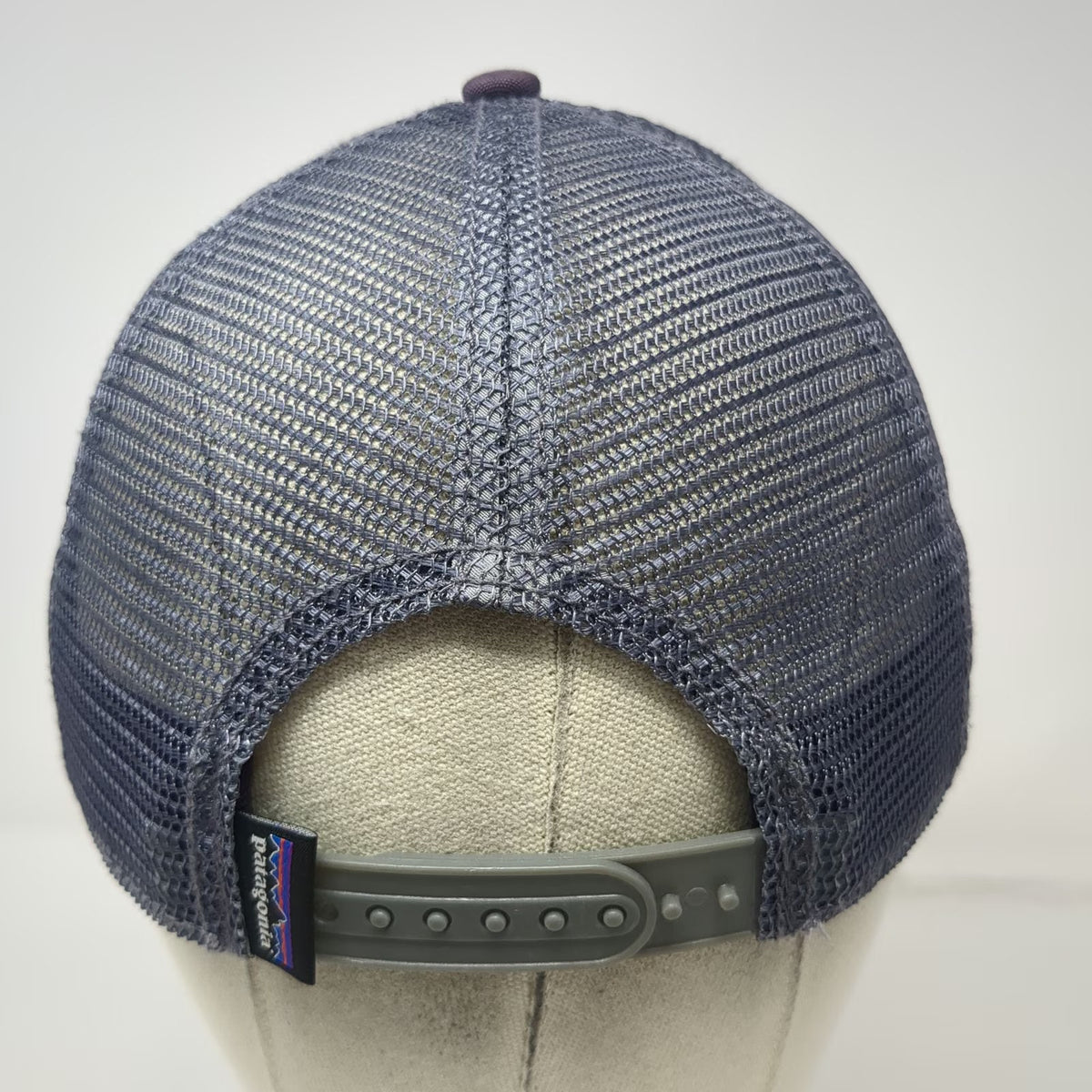 Patagonia Trucker Hat Purple One Size Half Dome Yosemite Graphic Snapback hat