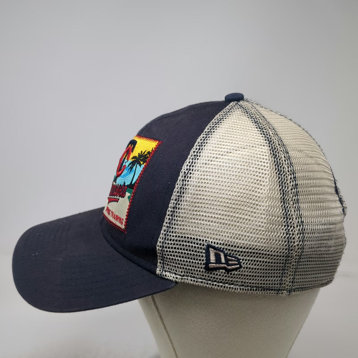 New Era MLB Minnesota Twins Blue OSFM Trucker Hat Mesh Snapback Spring Training