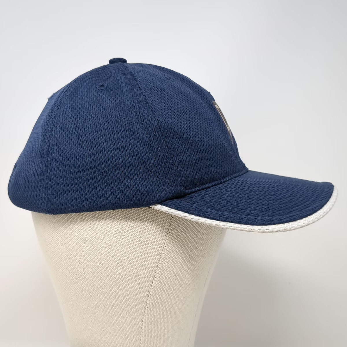 Nike Baseball Cap Blue White One Size Tiger Woods TW Logo Golf Strapback Hat