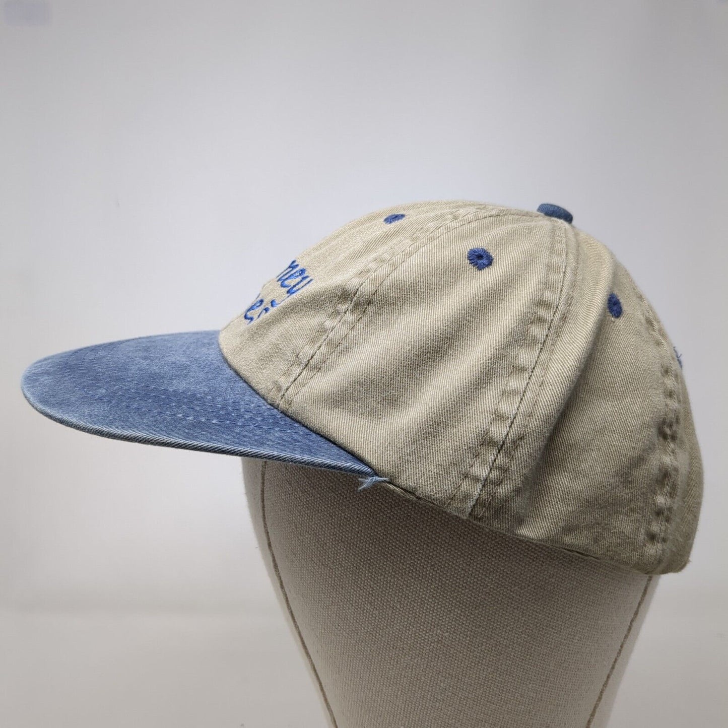 Whitney Homes Slideback Hat Multicolor OSFA Leather Strap Embroidered