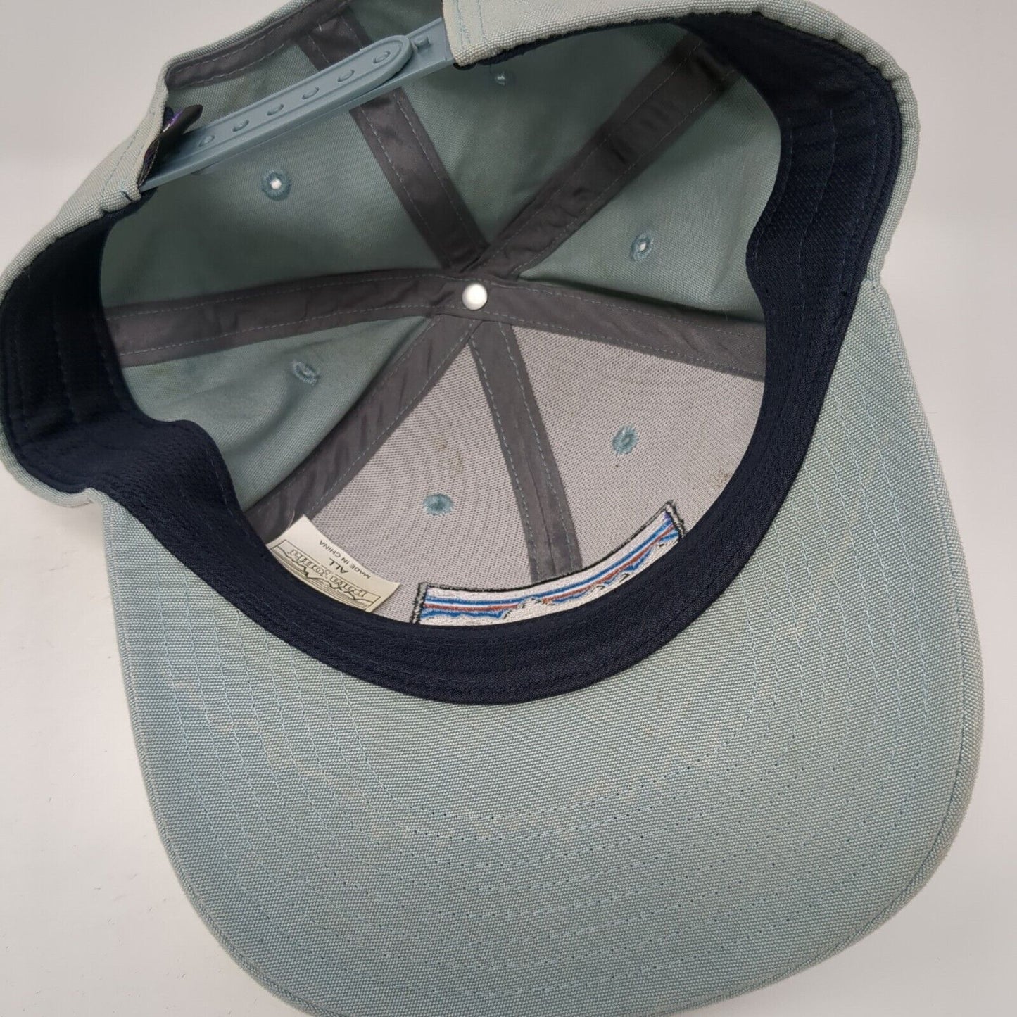 Patagonia Mountain Snapback Hat Blue One Size Adjustable Embroidered