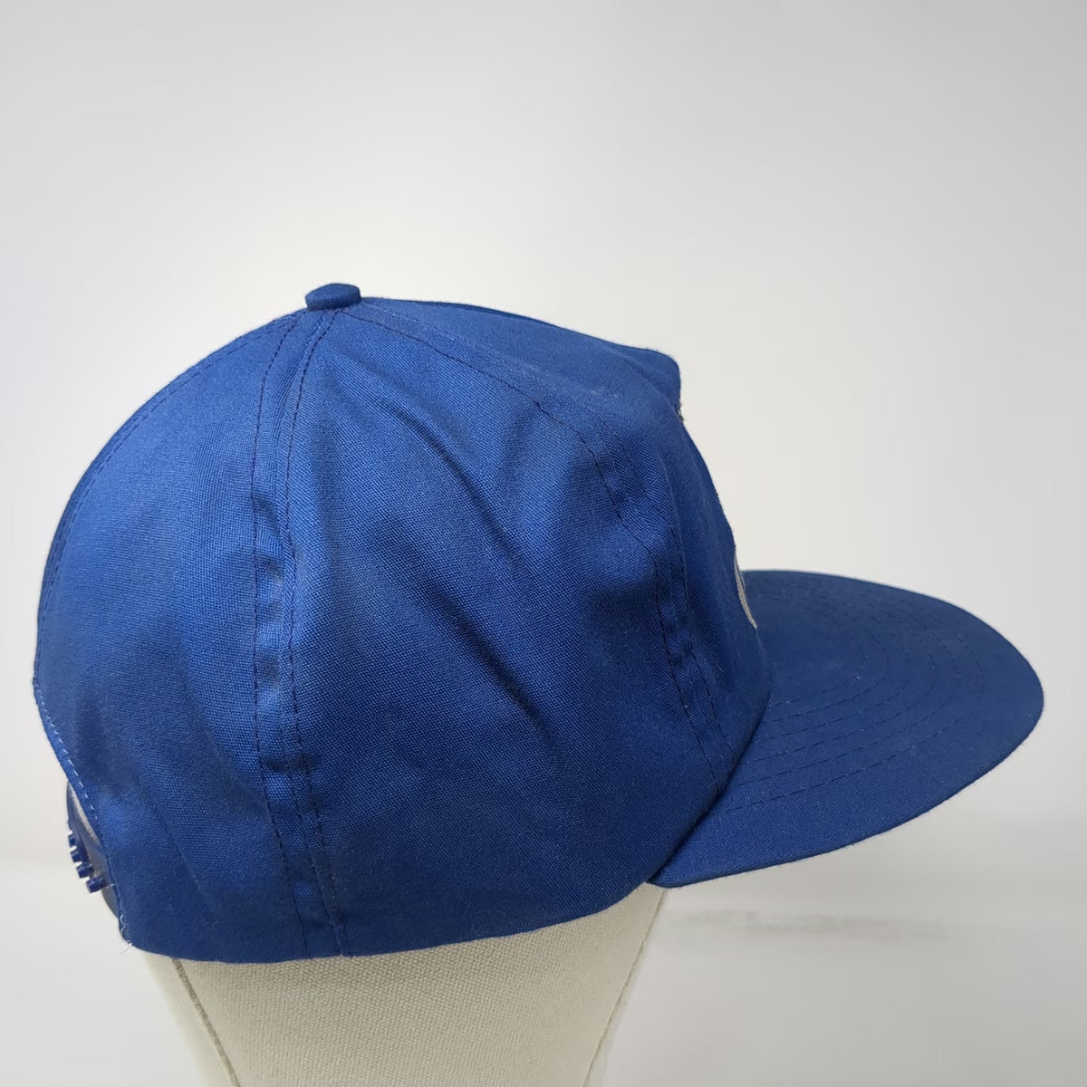 Canadian Geese Blue 5 Panel Hat One Size Snapback Embroidery Birds Wildlife