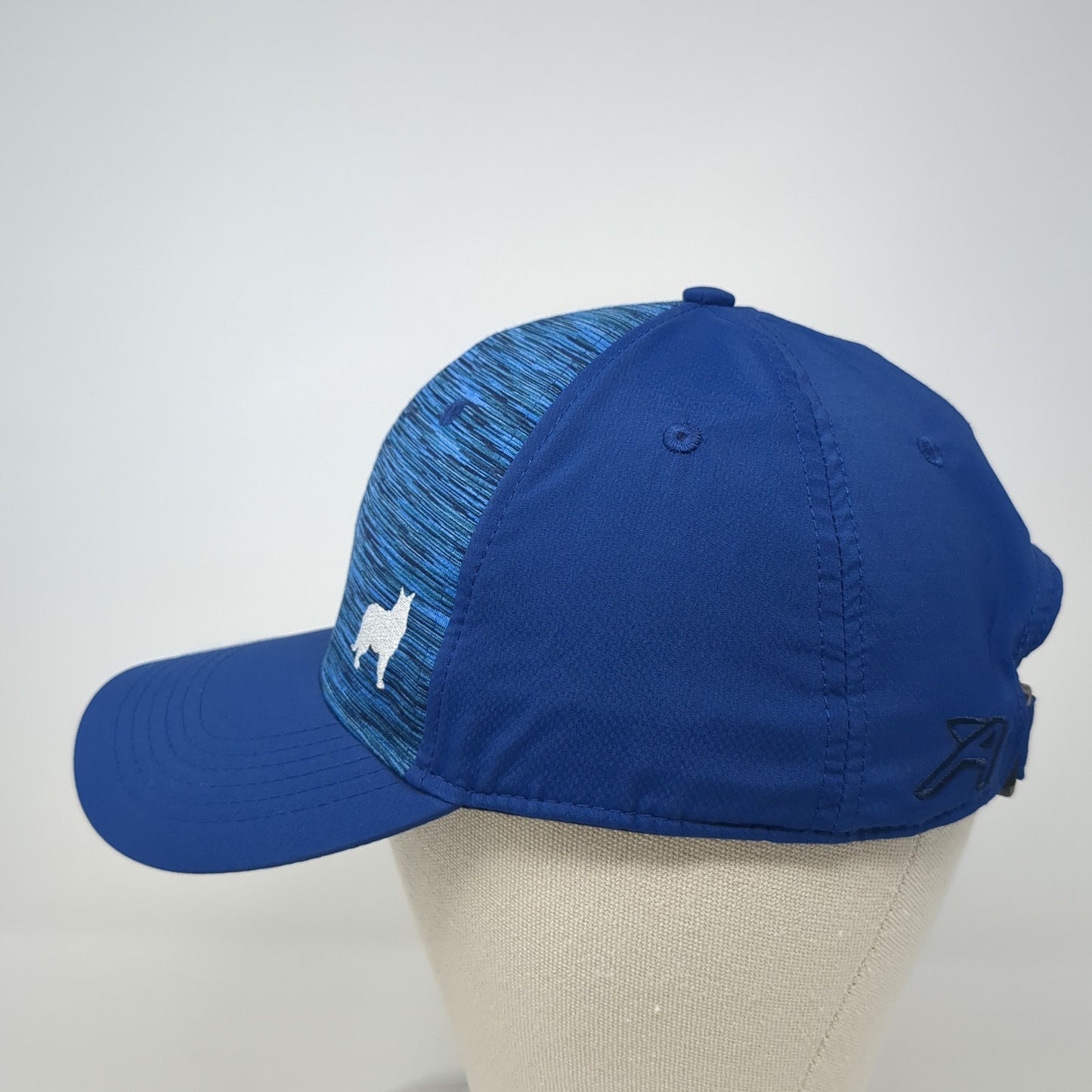 Paiute Strapback Hat Blue One Size Adjustable Mid Fit Ahead Performance