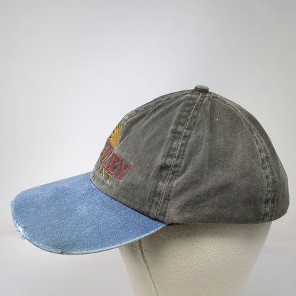 Imperial Headwear Baseball Cap Gray Blue One Size Bromley Vermont Sun Logo Hat