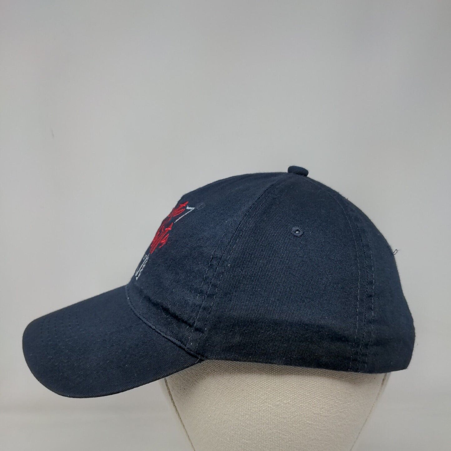 Puerto Vallarta 1851 Jalisco Mexico Strapback Hat Blue One Size Adjustable dKps