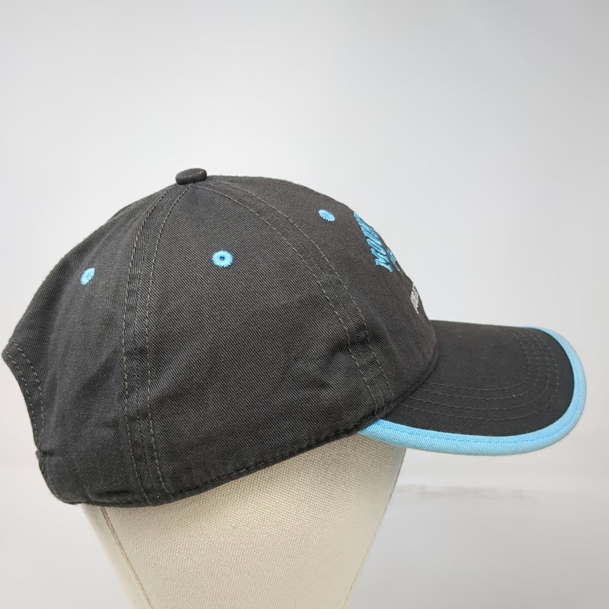 Port Authority Mount Vernon George Washington Hat Gray Baseball Cap One Size