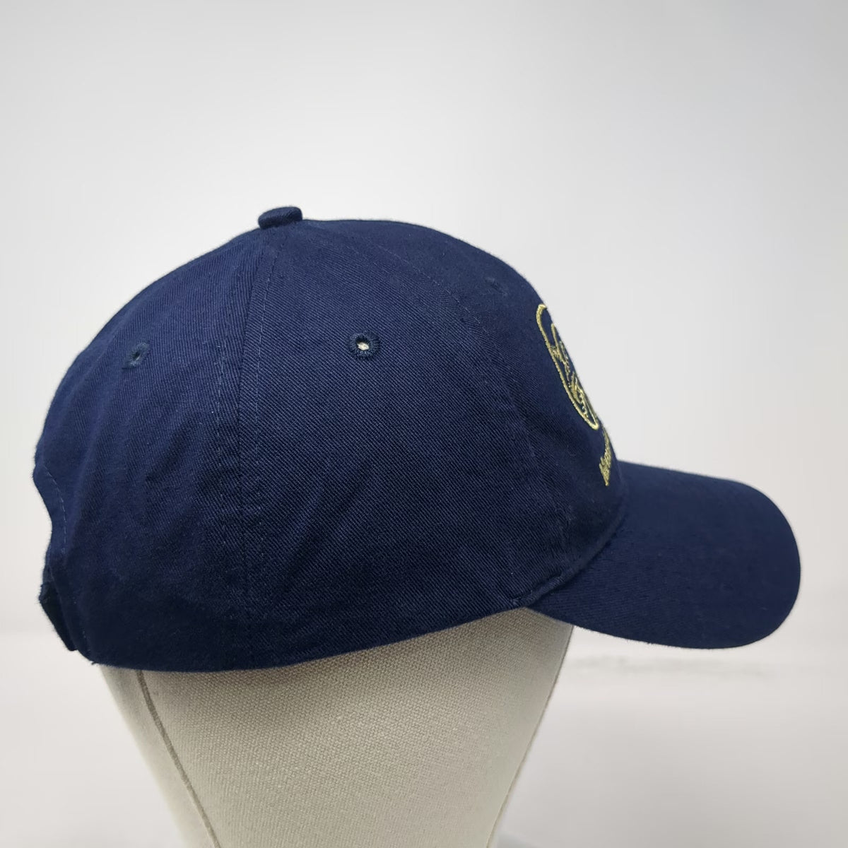 Buck's Athletic Boise Hawks Blue One Size Memorial Stadium Les Schwab Logo Hat