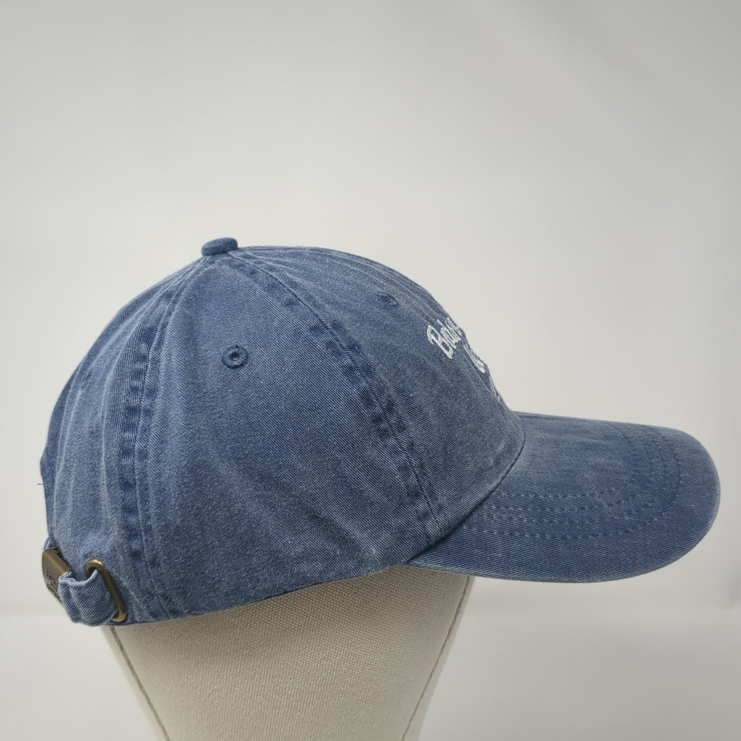 Boise Music Week 2010 Baseball Cap Blue OS Adjustable Embroidered Port & Company
