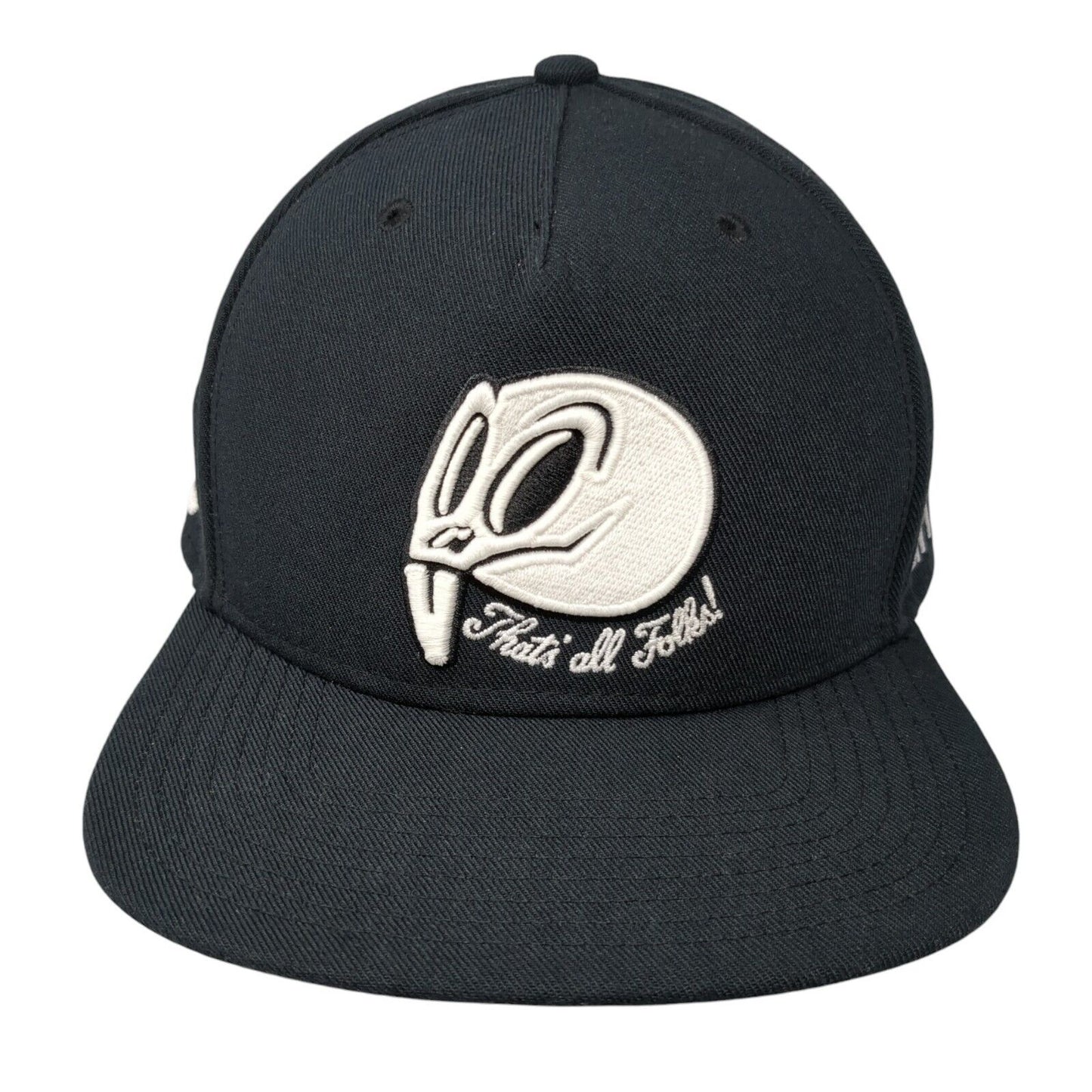 Nike Jordan Snapback Hat That's All Folks! Skull Looney Tunes Space Jam Jumpman