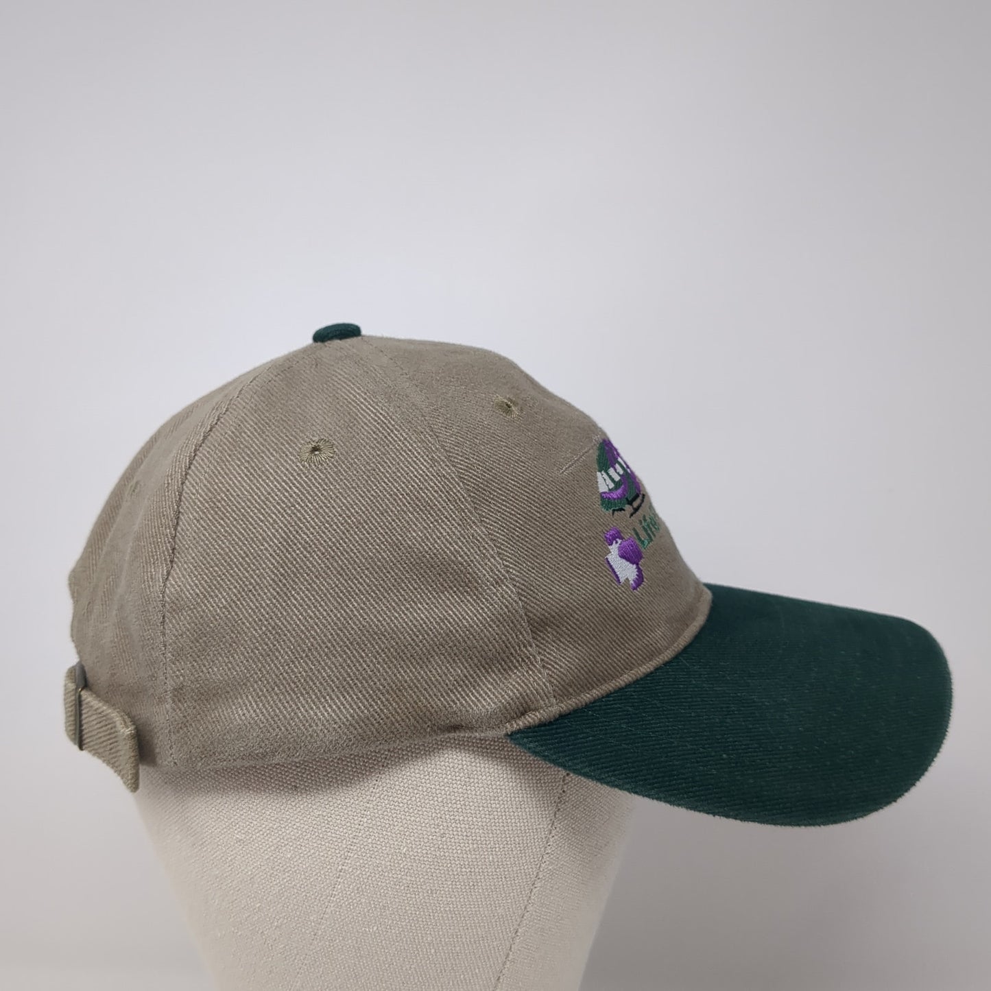 LifeFlight Eagle Slideback Hat Multi One Size Adjustable Colorblock