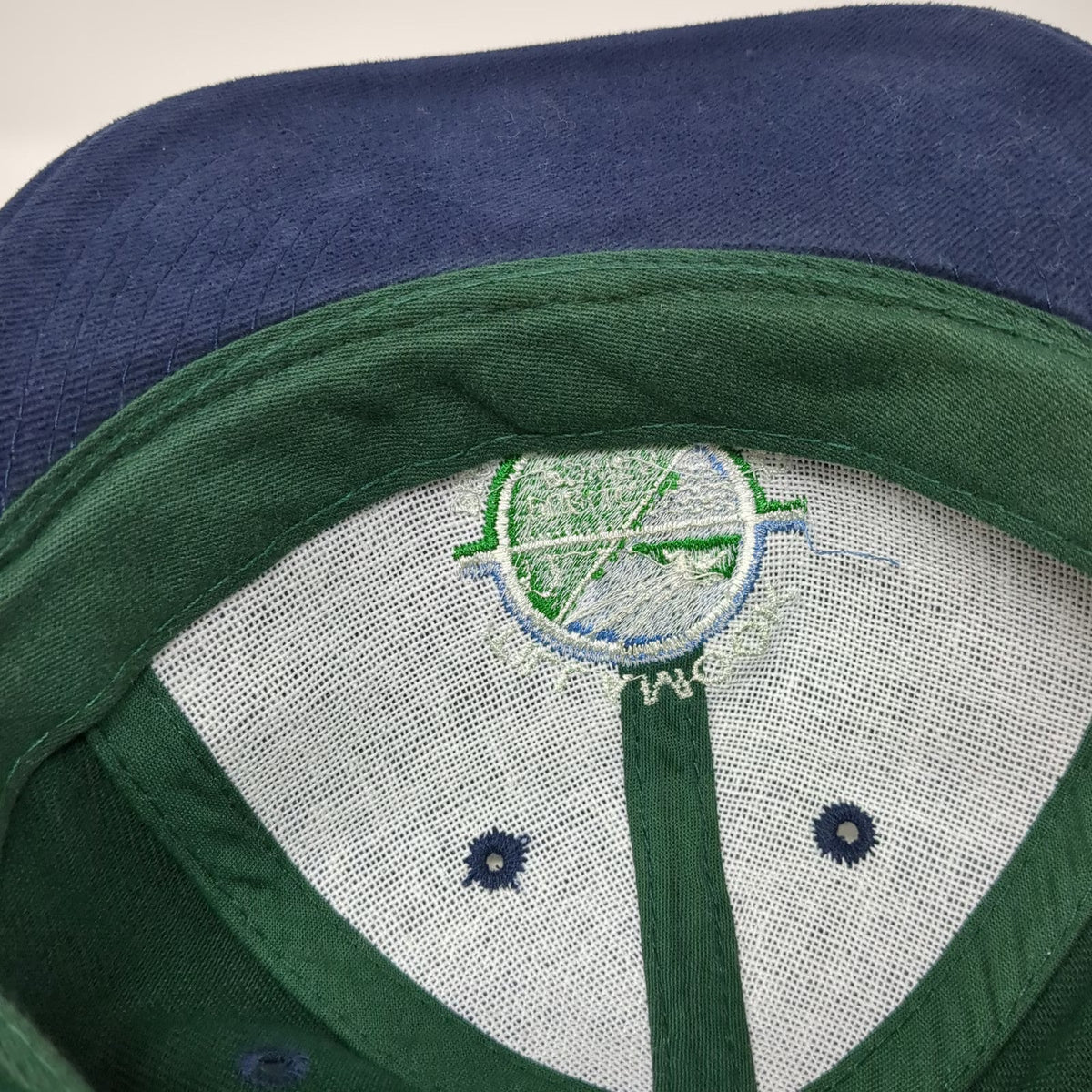 Otto Baseball Cap Green Blue OSFM Tillamook Public Power People's Utility hat