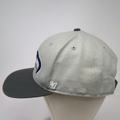 Seattle Seahawks NFL '47 Brand Gray Black One Size Cap Super Bowl XLIX Flat Hat