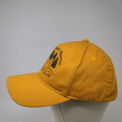 Squeak Creek Apiaries Brasher Falls NY Baseball Cap Yellow One Size Harriton