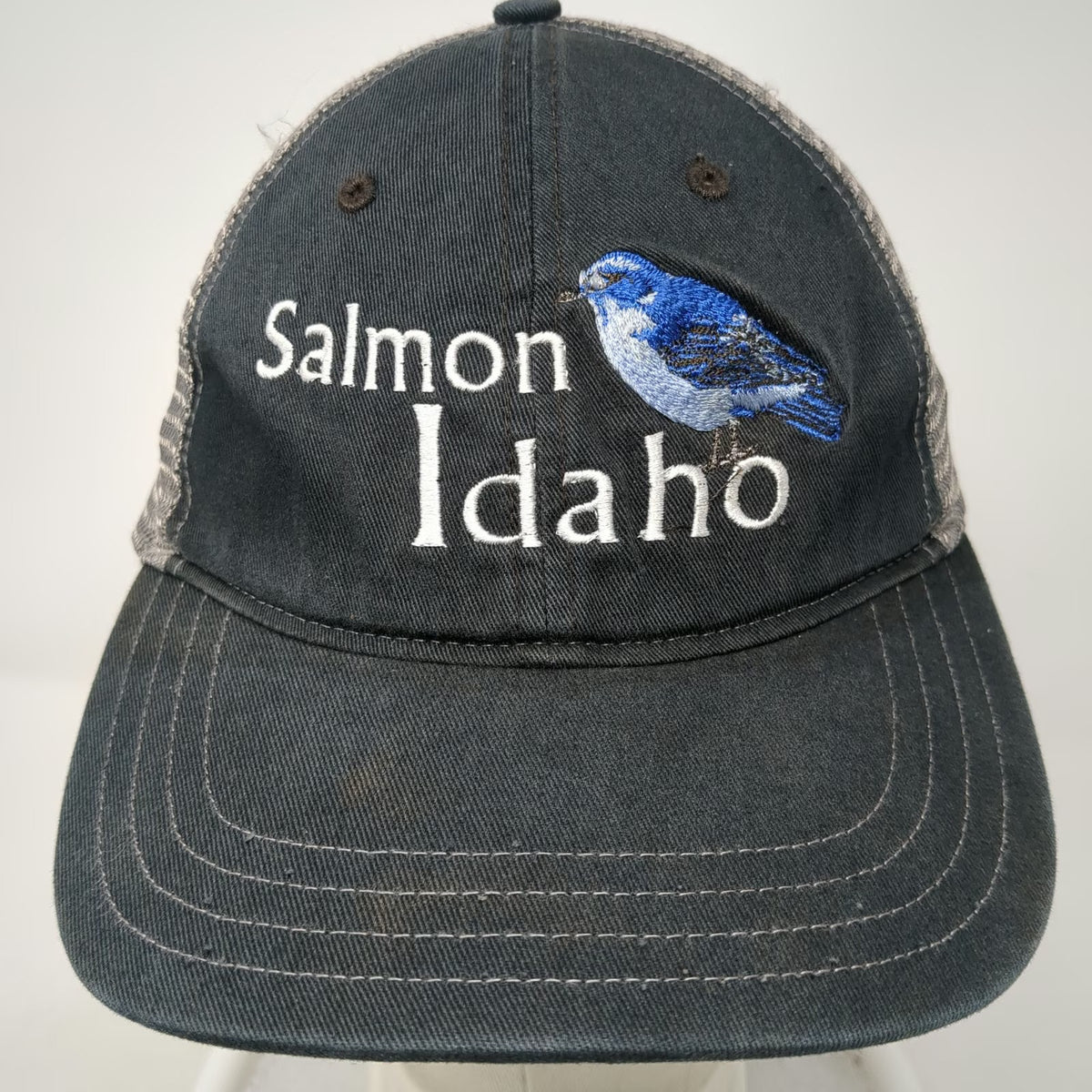 Richardson Trucker Hat Black L Salmon Idaho Embroidered Blue Bird Mesh