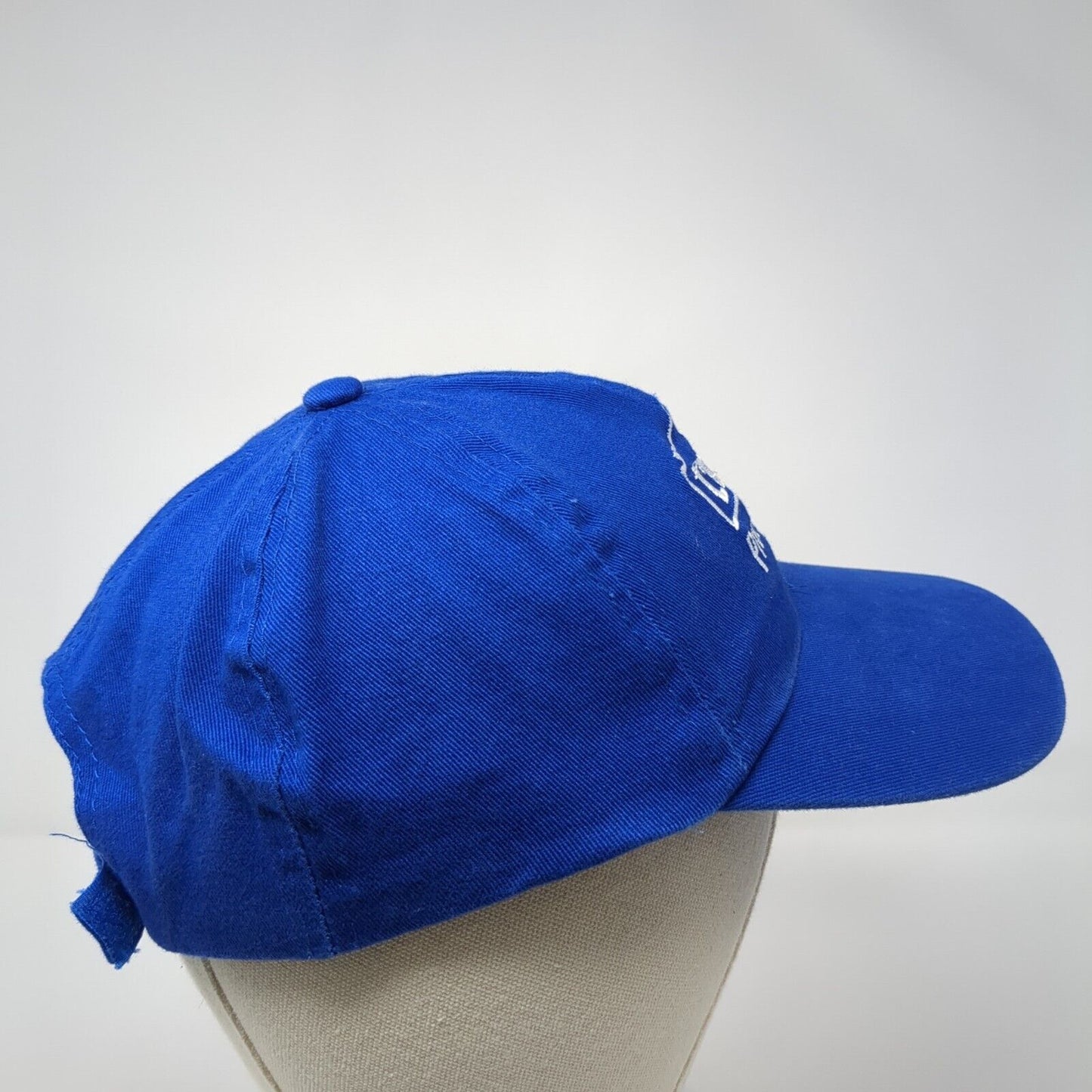 Lowe's Pro Services Strapback Hat Blue One Size Adjustable Embroidered