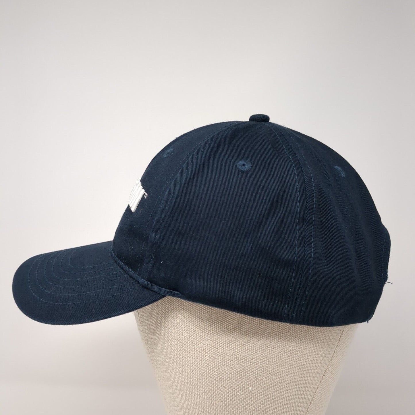 Netafim Strapback Hat Blue One Size Adjustable Embroidered 6 Panel