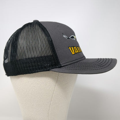 Cap America Valley Air Eagle Logo Gray Trucker Hat One Size Mesh Back Snapback