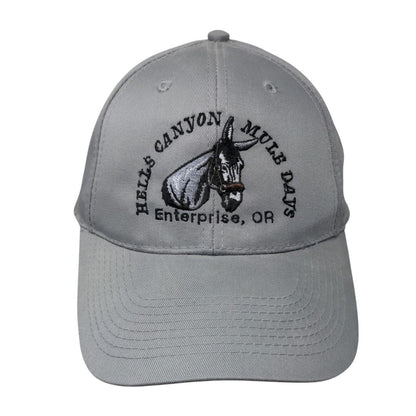 Hells Canyon Mule Days Enterprise OR Snapback Hat Gray OSFM Adjustable Otto