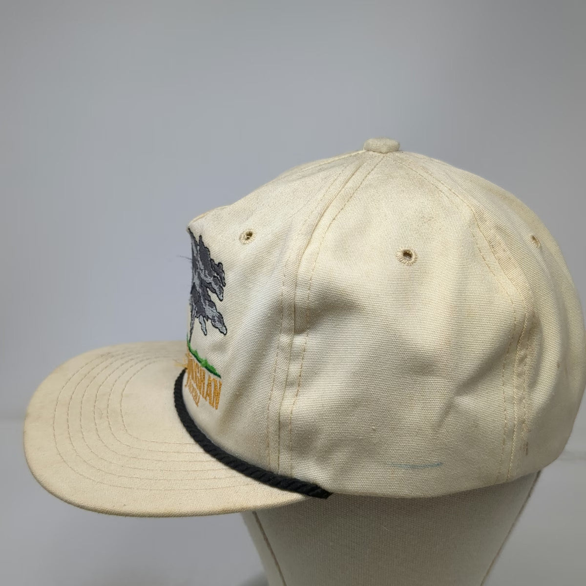 Texace Trucker Beige Stevie Ray Vaughan Double Trouble Guitar Rope Hat Vintage
