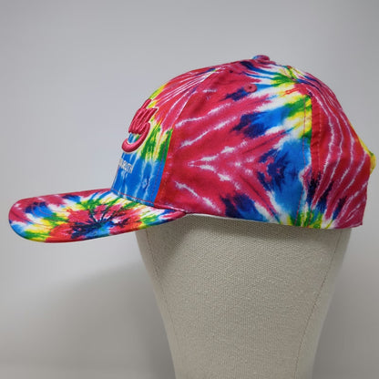 Robin Ruth Alaska Tie Dye Baseball Cap Pink Blue OSFM Strapback Embroidered Hat