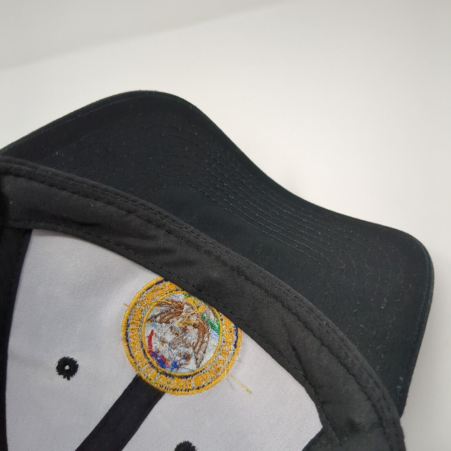 Department of The Navy United States of America Strapback Hat Black One Size OC