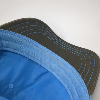 Pistil Trucker Hat Blue One Size Graphic Mountain Mesh Back Snapback Stripes
