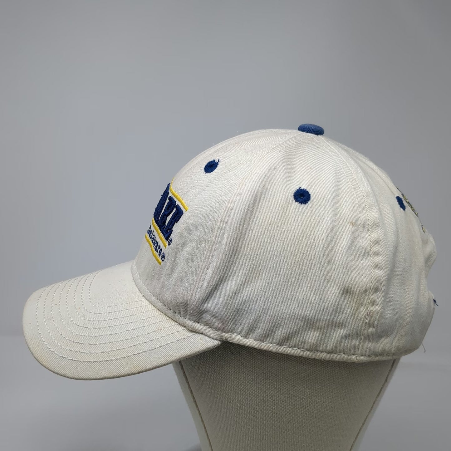 Delaware Fightin Hens NCAA The Game Snapback Hat White Blue Yellow One Size Logo