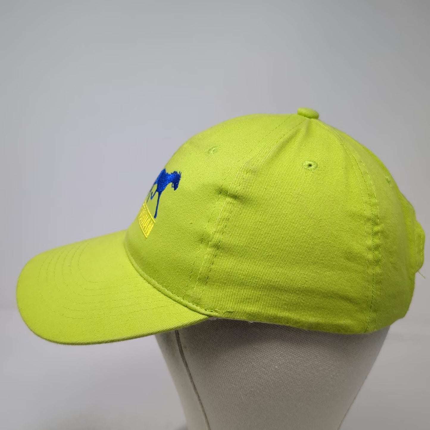 Associated Premium Corp Green Baseball Cap One Size Hambletonian Harness Hat