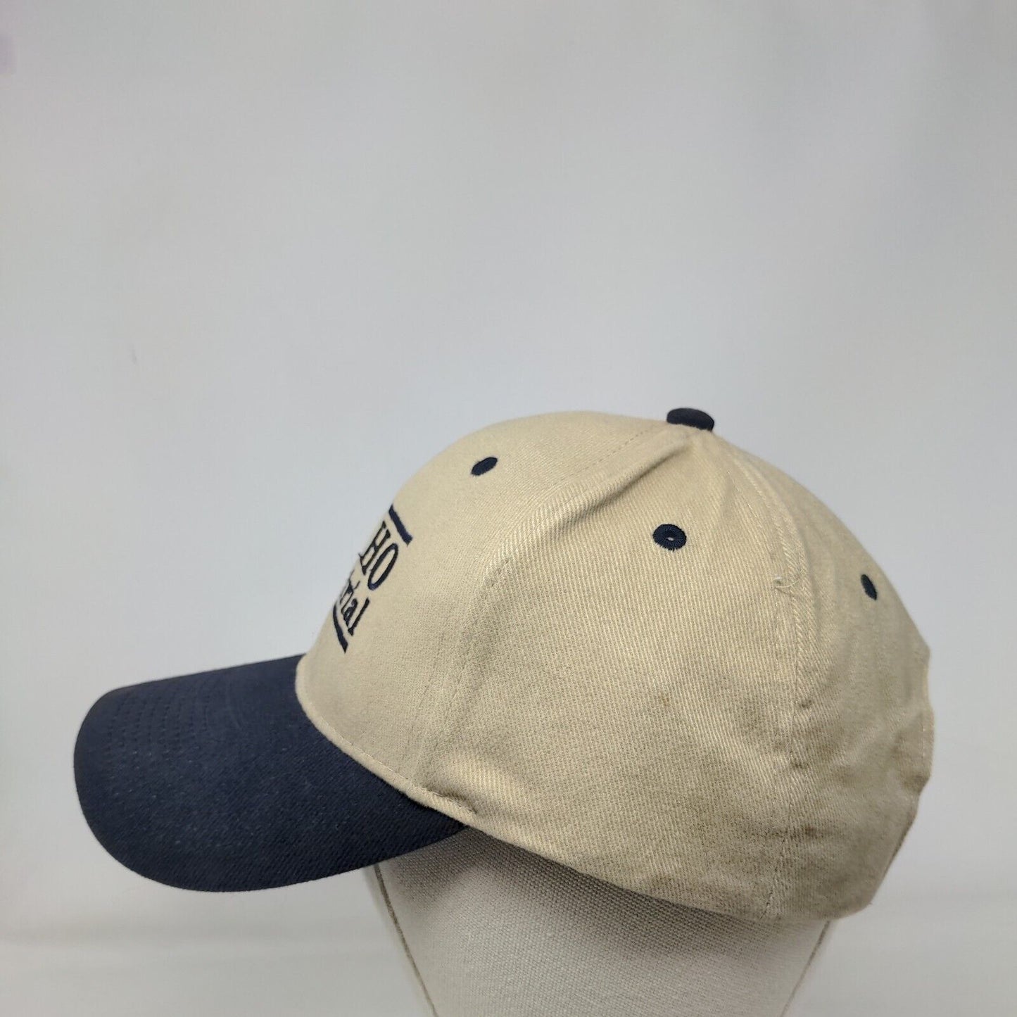 Idaho Industrial Strapback Hat Multi OSFM Embroidered Colorblock Otto