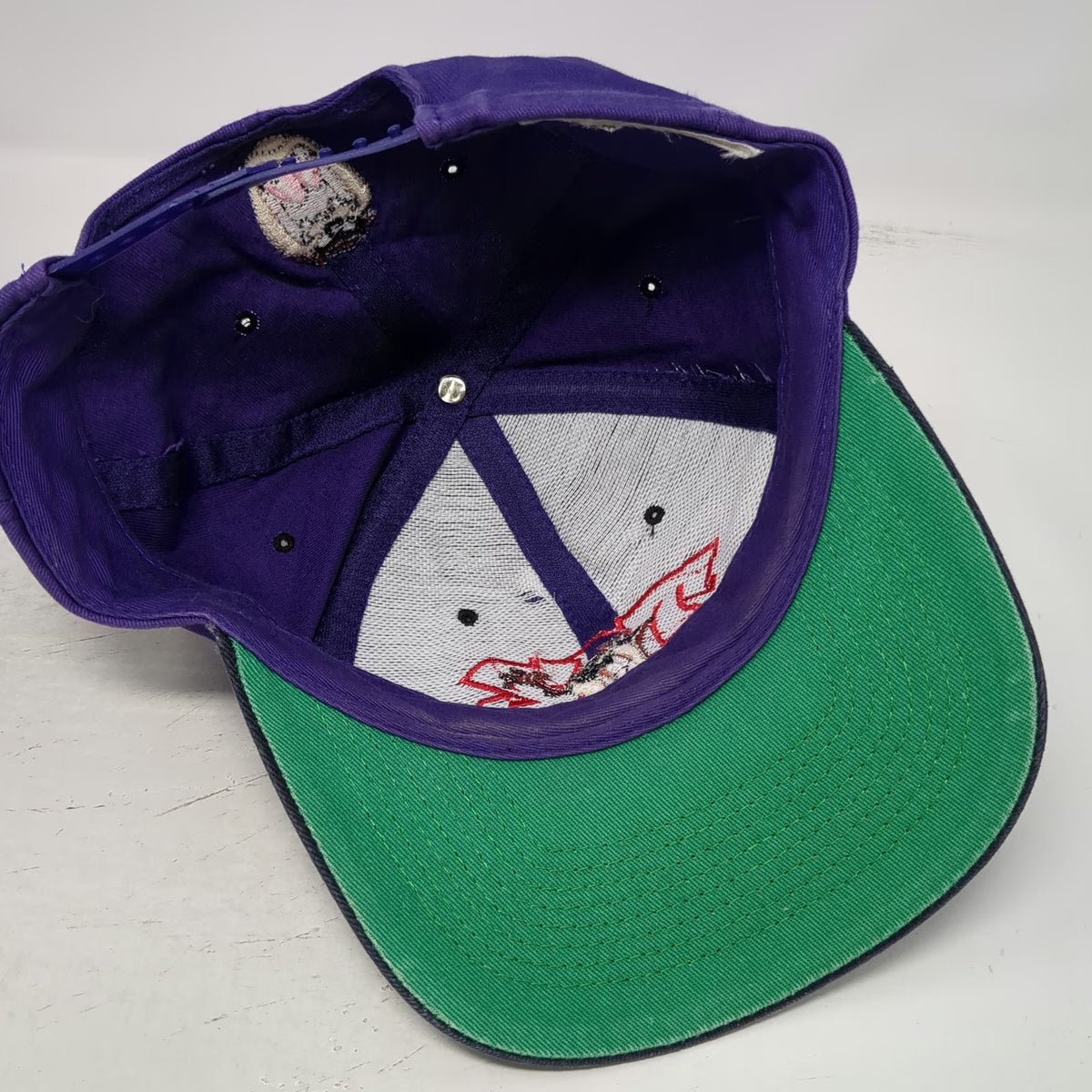 Purple Snapback Hat Tasmanian Devil Taz Character Green Underbrim Vintage