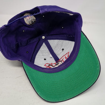 Purple Snapback Hat Tasmanian Devil Taz Character Green Underbrim Vintage