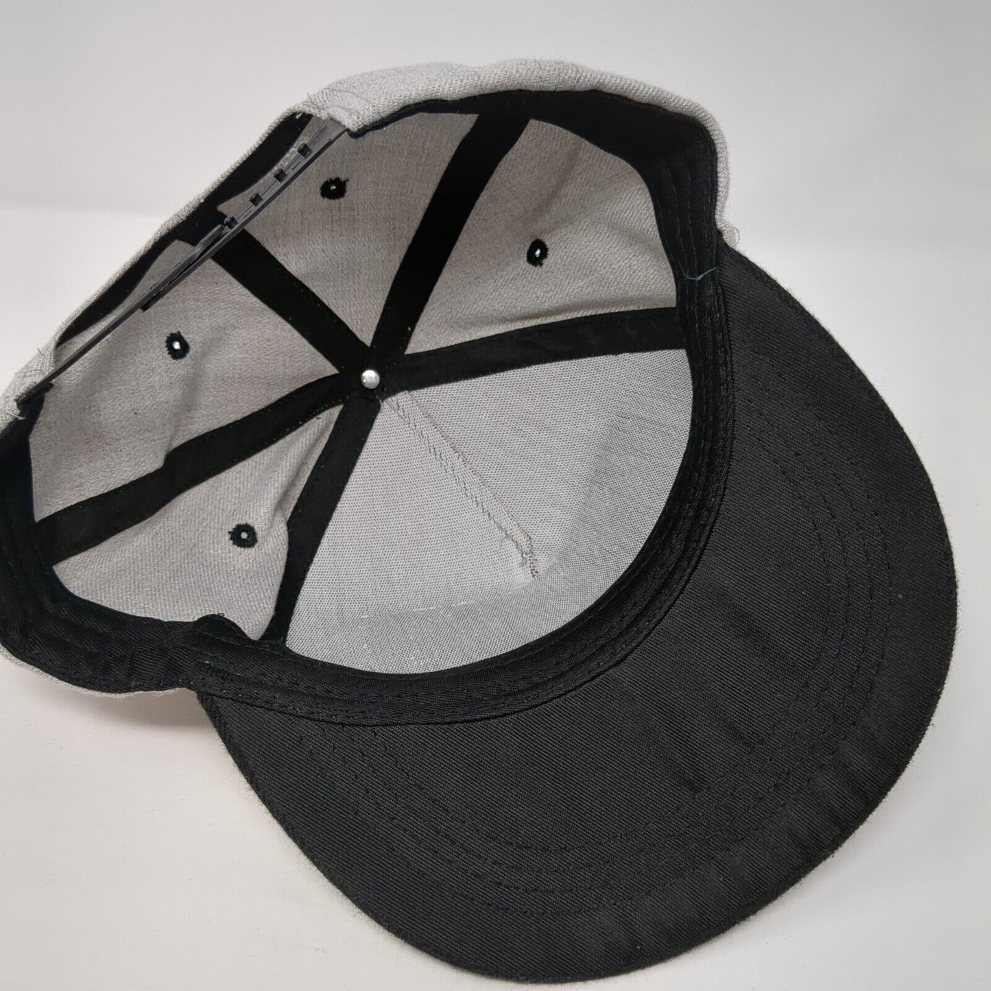 Parental Advisory Explicit Content Snapback Hat Gray OSFA Damp Lush Logo 3D