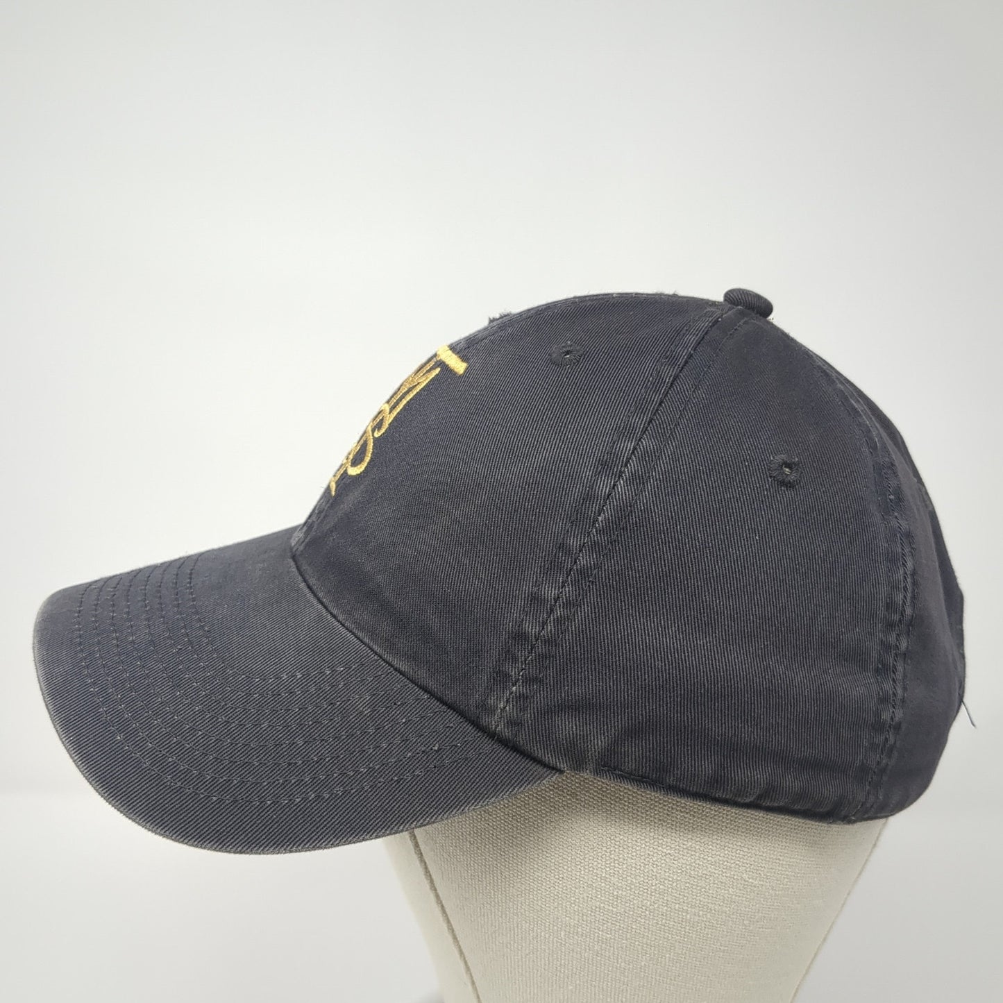 TMS Slideback Baseball Cap Gray One Size Adjustable Embroidered Dog Daze