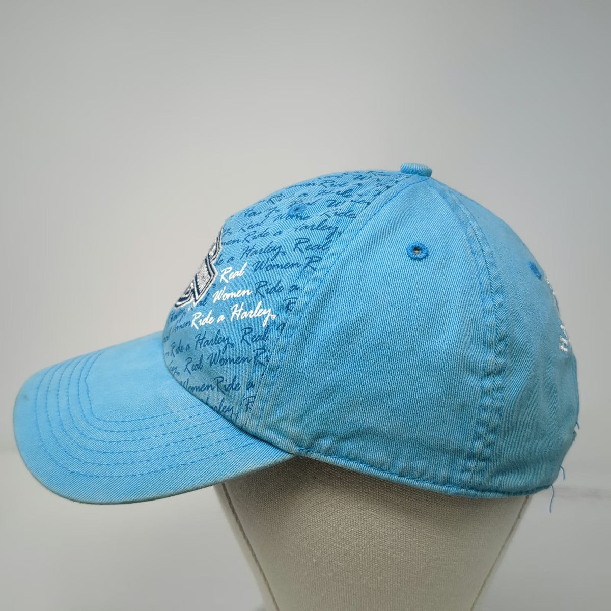 Harley-Davidson Baseball Cap Blue One Size Snake Twin Falls ID Script Hat