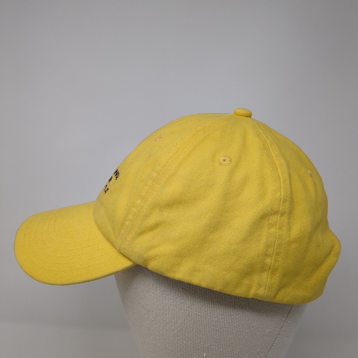 Cascade Range Mountain Slideback Hat Yellow One Size Adjustable H&M