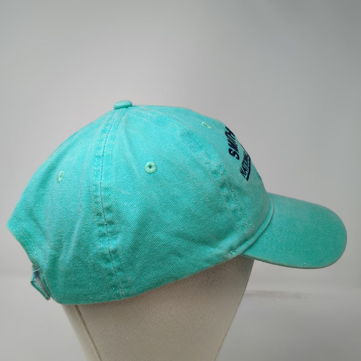 Smithsonian National Zoo Blue Baseball Cap One Size Hat Strapback Elephant Logo