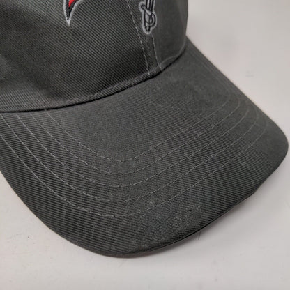 Tampa Bay Buccaneers Strapback Hat Gray Embroidered Logo Raymond James