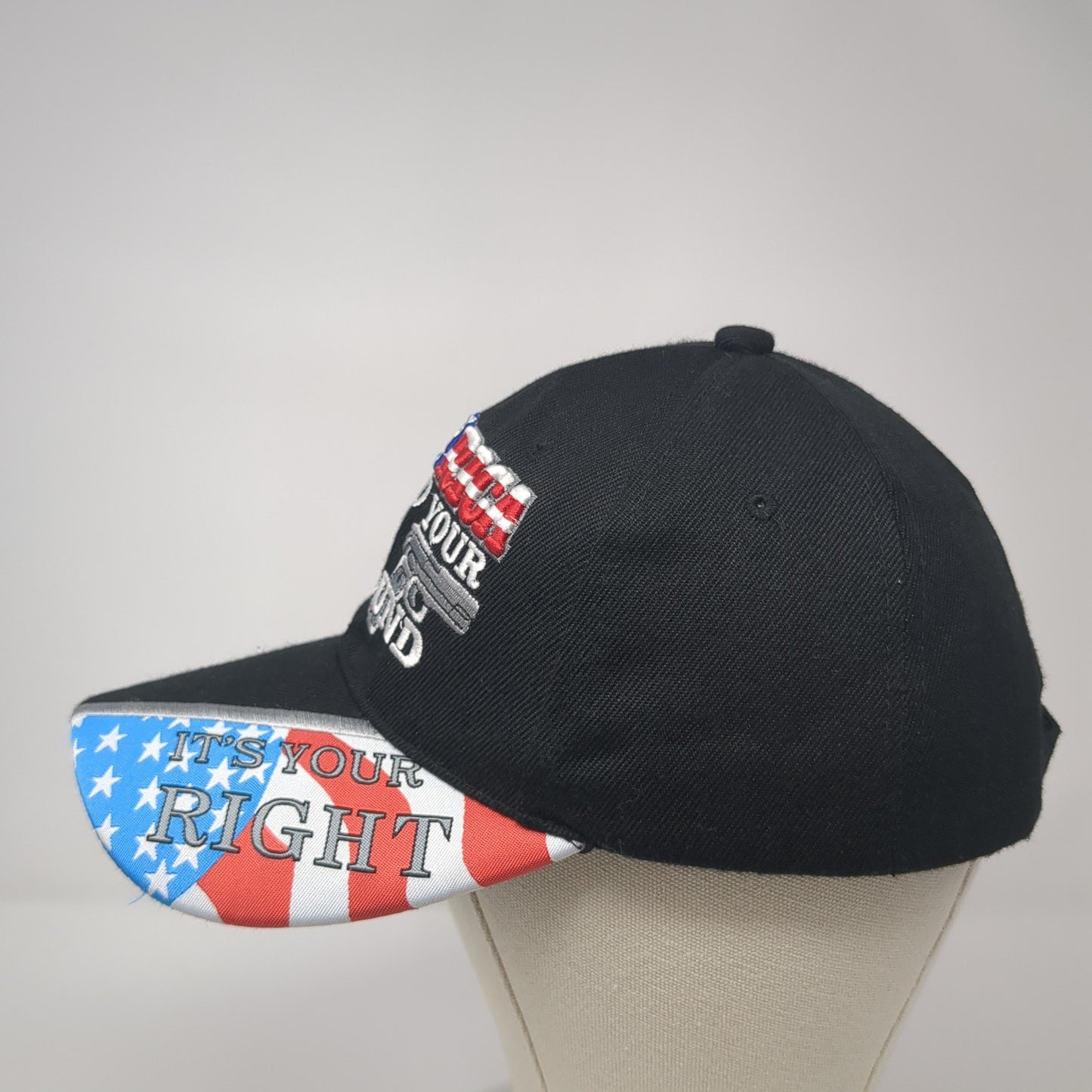 America Stand Your Ground It's Your Right Baseball Cap Black One Size Patriotic